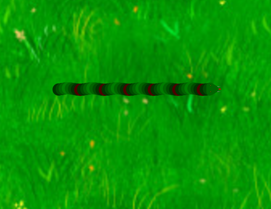 Photo of a CSS snake in the grass