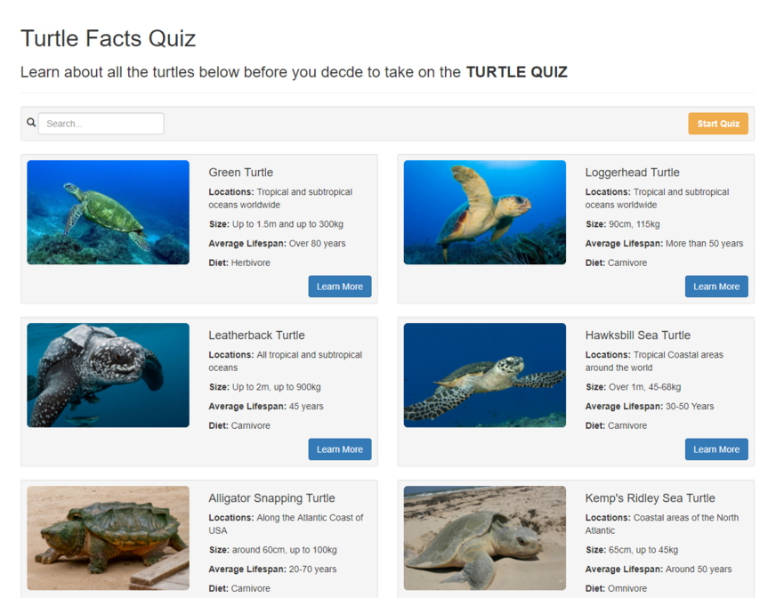 Photo of Turtle Quiz website deployed